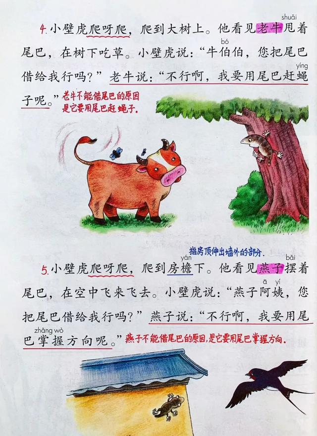 一年级语文下册，第八单元20课《小壁虎借尾巴》笔记+解析，收藏