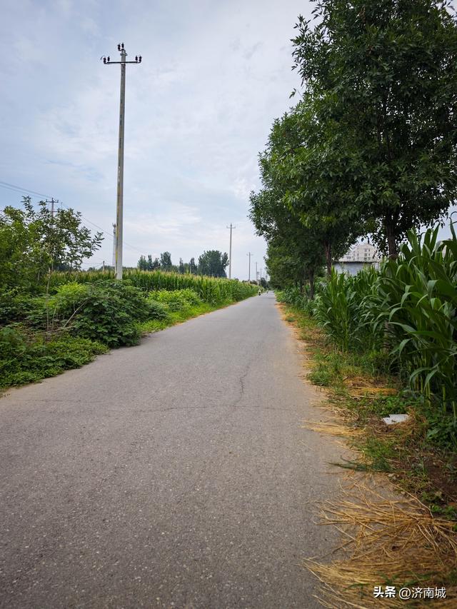 偶遇龙泉路上的千年历史文化