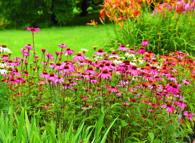 欧洲行：从波兰克拉科夫到奥斯维辛集中营（图）