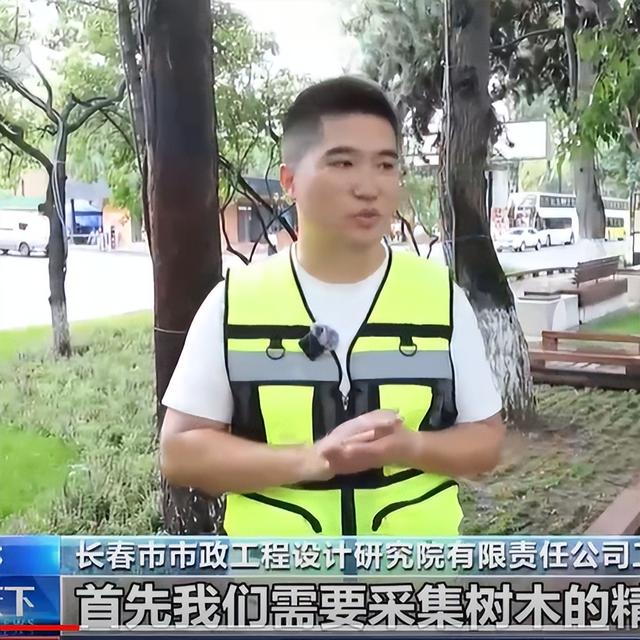再登央视！《朝闻天下》“活力中国调研行”聚焦长春新民大街