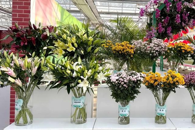 来逛超大冬日花果游园会，2026北京兰花文化嘉年华在昌平开幕 | 动态