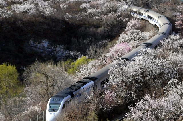 中国最美春光！踏春游春十个最佳去处