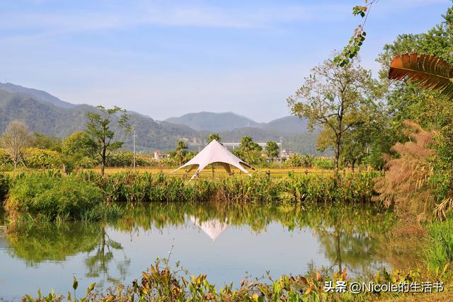 稻浪浸温汤，古村藏清欢