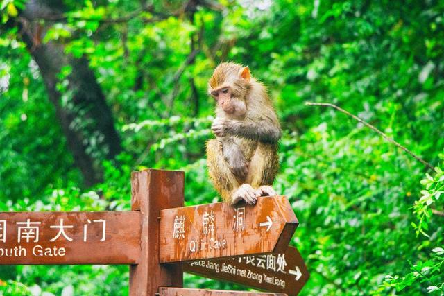 夏天带娃出行的4个最佳旅行地，凉爽又好玩，带孩子一年去一个！
