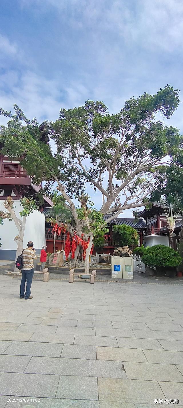 三亚南山景区随拍