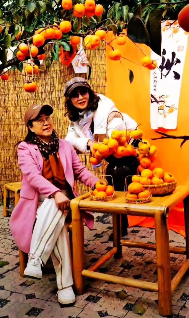 桂林：不入柿园，怎知秋色几许！