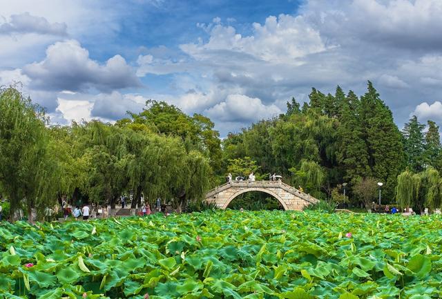 河南大反转！许昌杀出重围，郑州洛阳都没预判，凭什么火遍全国？
