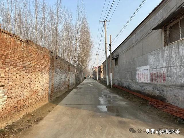 冠县乡韵·清水镇后井寨村