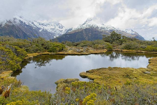 老了以后，一个人怎么办？答案来了
