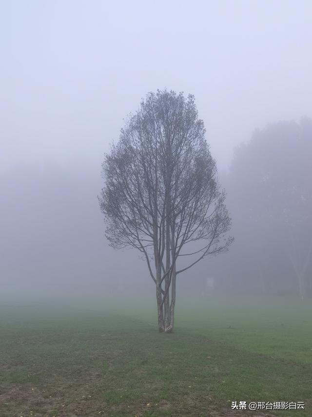 达活泉公园：情与雾的交织