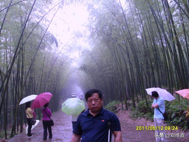 畅游蜀南竹海