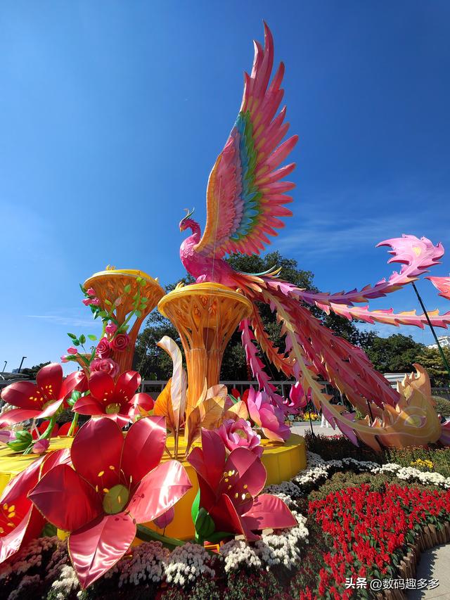 广州66届羊城菊花展，快来看打卡攻略