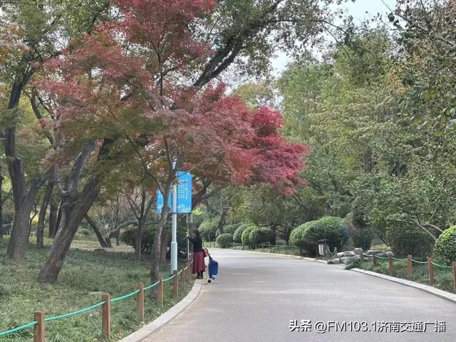 公园景区秋色图鉴，这几处必打卡