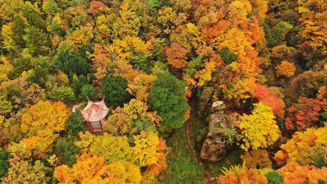 赏秋正当时!自驾来汉中,赴一场秋日视觉盛宴~