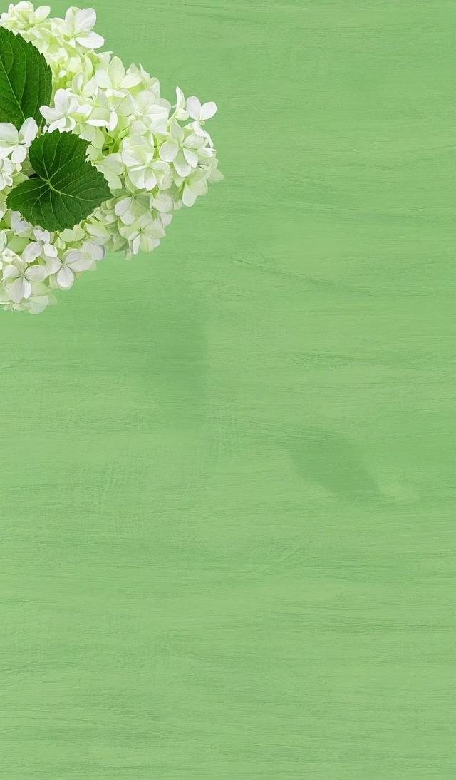纯色手机壁纸