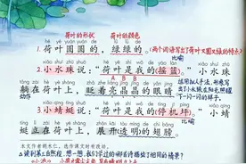 一年级下册语文，第六单元课文12《荷叶圆圆》笔记+课堂解析图片