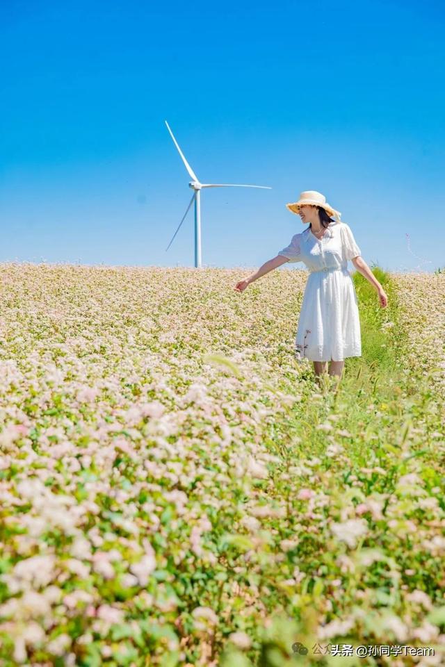 跟着节气游榆林之处暑
