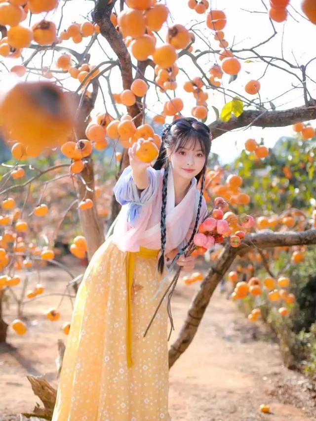 最佳观赏期!冬天来广西,指定有好“柿”!(附最新实拍图)