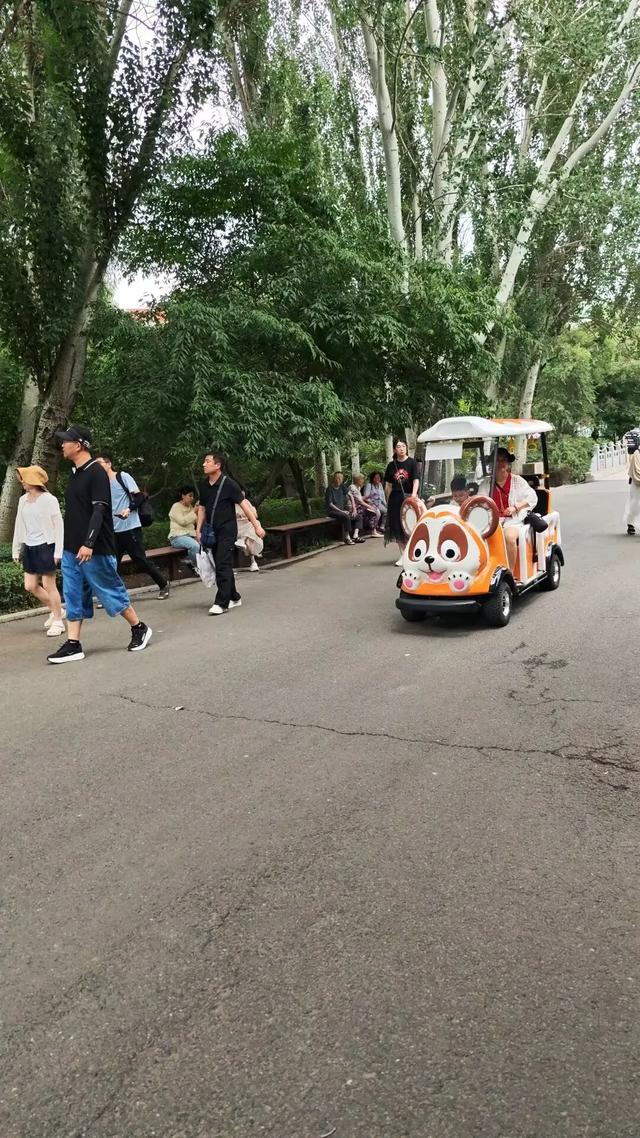 动植物园华灯闹西游,自助盒饭实惠吃不够
