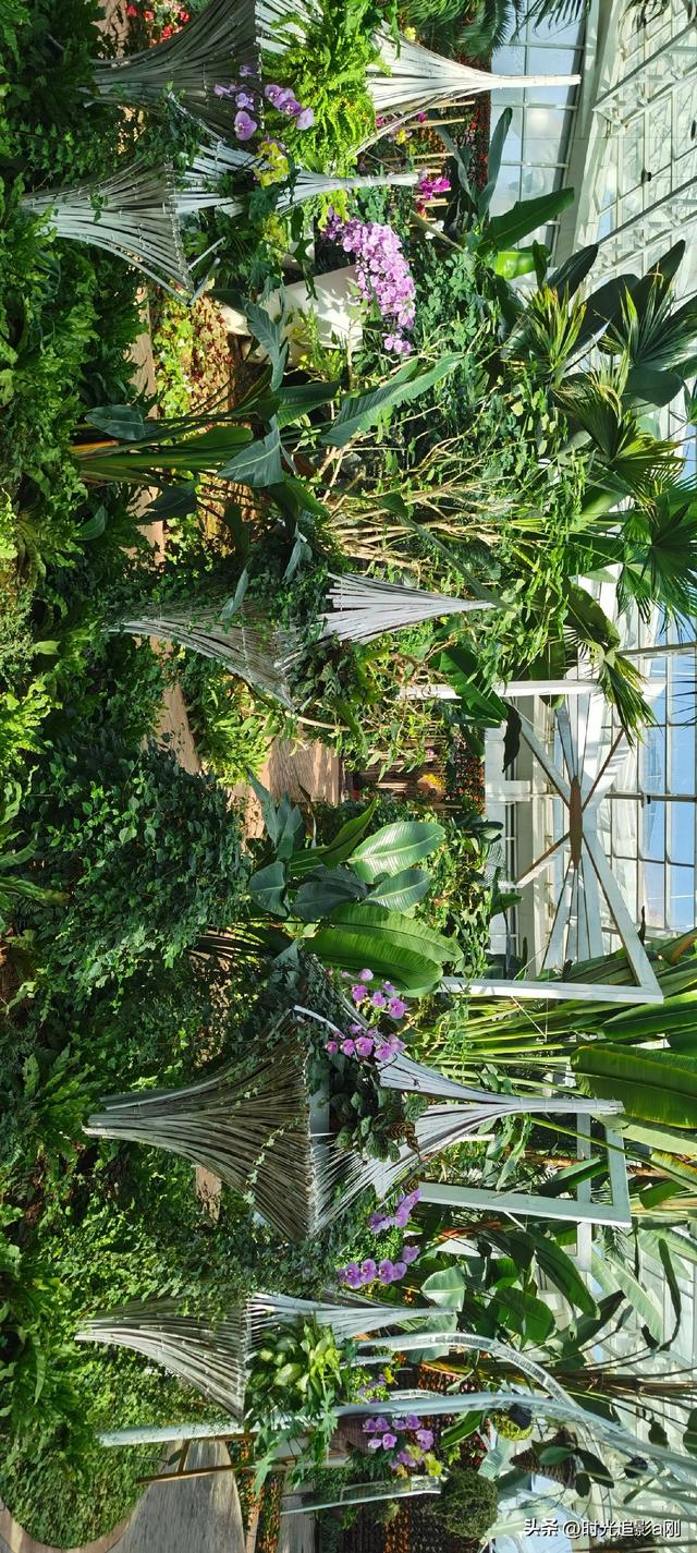 玻璃穹顶下的生活诗意！