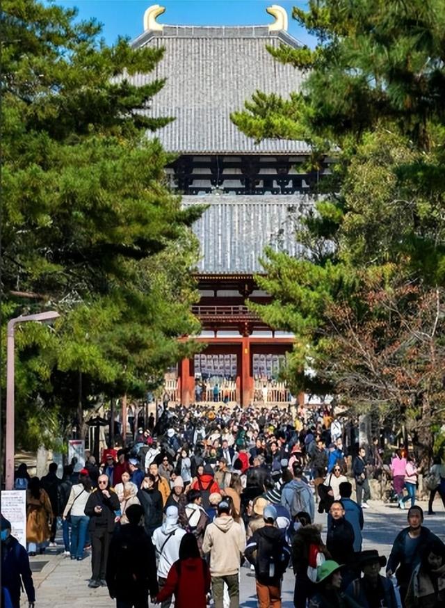 大批中国人依然执意去日本旅游，被日媒追问后，他们的回答太扎心
