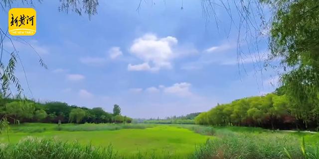 济南的“阿勒泰”，太惊艳了！与草地蓝天相伴，治愈感直接拉满了！