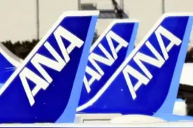 一架全日空客机高空飞行时驾驶舱玻璃出现裂痕，客机紧急返航图片