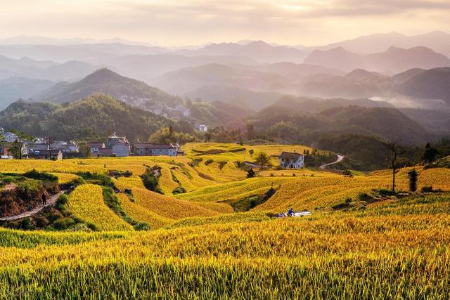 邂逅泳溪梯田，翻开秋日的浪漫诗篇