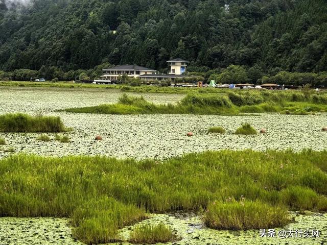 腾冲之肺---北海湿地