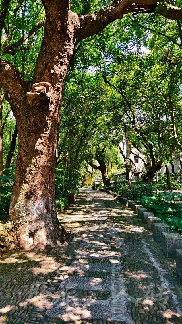 皖浙摩旅二人转——桐庐荻浦村篇