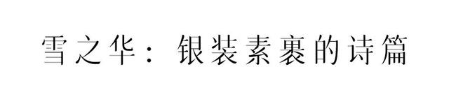 冬天上山，赴一场“仙境之约”