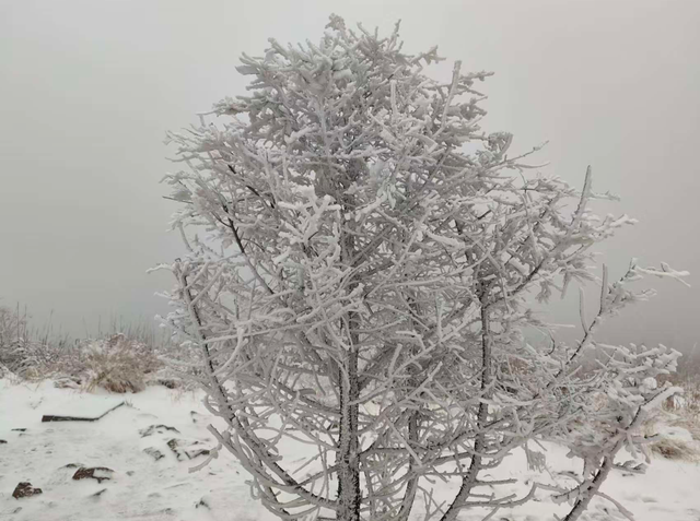 大雪暴雪、中雨大雨要来了！