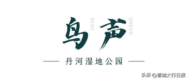 【晋城】嘘！请屏住呼吸，聆听泽州景色里的自然呓语