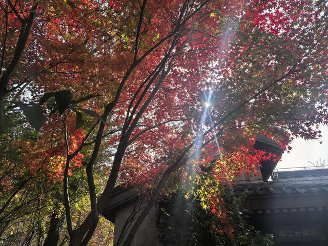 南京栖霞山一日徒步，游千年古刹，看漫山红叶
