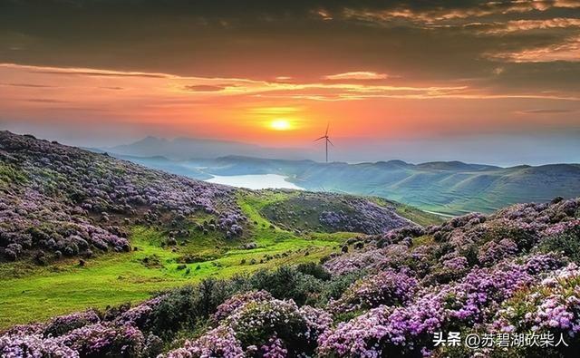 乌蒙大草原行记