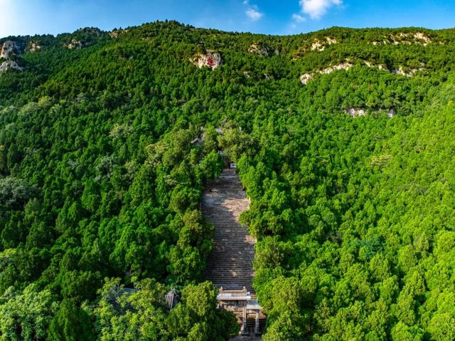 禅意古刹、青山绿野、古风狂欢，济南这条早春线路治愈力拉满！