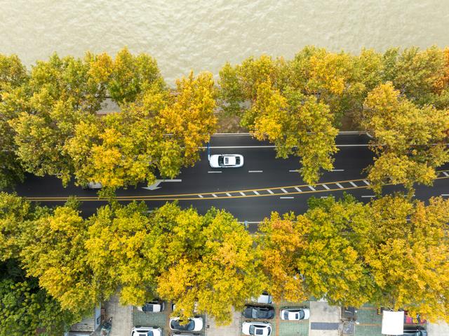 抓紧！再不赏秋就晚了