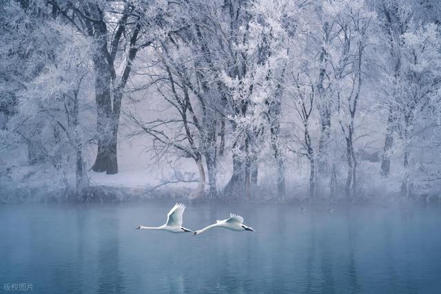 一次性学透|单词变复数后 “s” 的发音规则