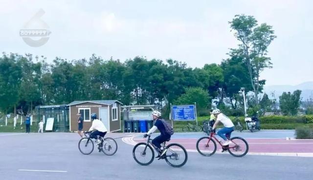 “人少不挤+暖阳鸥遇”，昆明“杀”进淡季旅游热门榜！