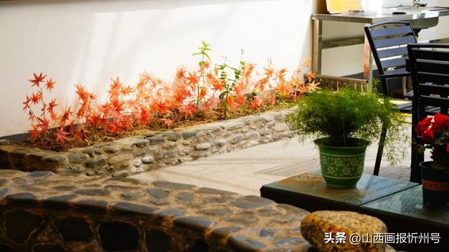 又见奇村 | 槐庭温泉民宿：老槐树下泡温汤，休闲康养两不误