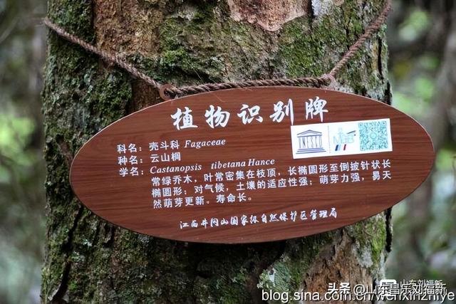 水口景区小记（江西之旅第八十八篇）