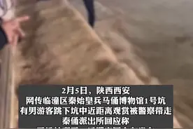 男子突然跳进兵马俑一号坑，称要近距离观赏？警方回应图片