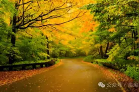 2025届文科生：现实形势比传说要乐观？用数据说话，一起来看！图片