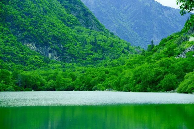 寻找松坪沟最佳拍档，入选就送门票！甜蜜的脆李和19℃清凉一起打包带走~