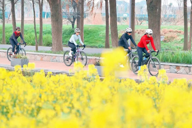 苏州锦溪古镇，获国家级推荐！