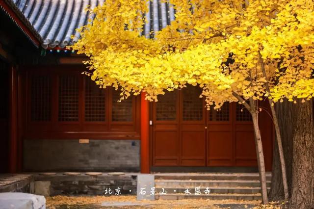 花式赏秋、文创上新，石景山这个古寺将迎最美时节！