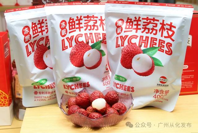 从化温泉文旅推介会走进东莞,世界珍稀温泉邀客共赴暖冬之约