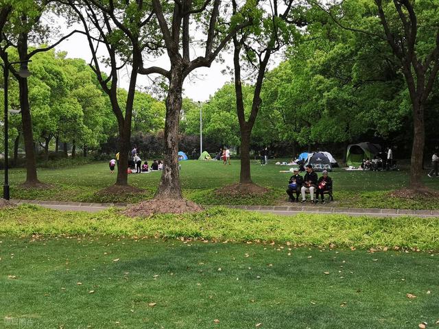 上海值得去的6个公园推荐！全部免费，好看又好玩！你都去过几个