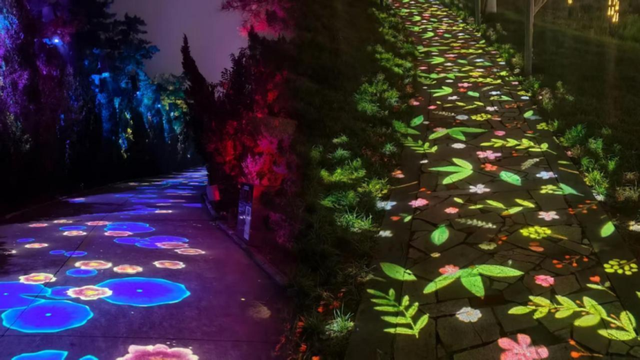 享暖冬 60+节目轮番上演！红花岗区跨年活动来咯~