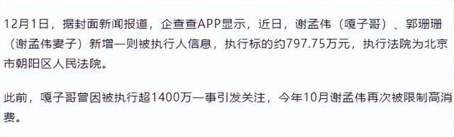 法院出手，嘎子哥谢孟伟再迎噩耗，老婆跑路传闻真相大白才两个月